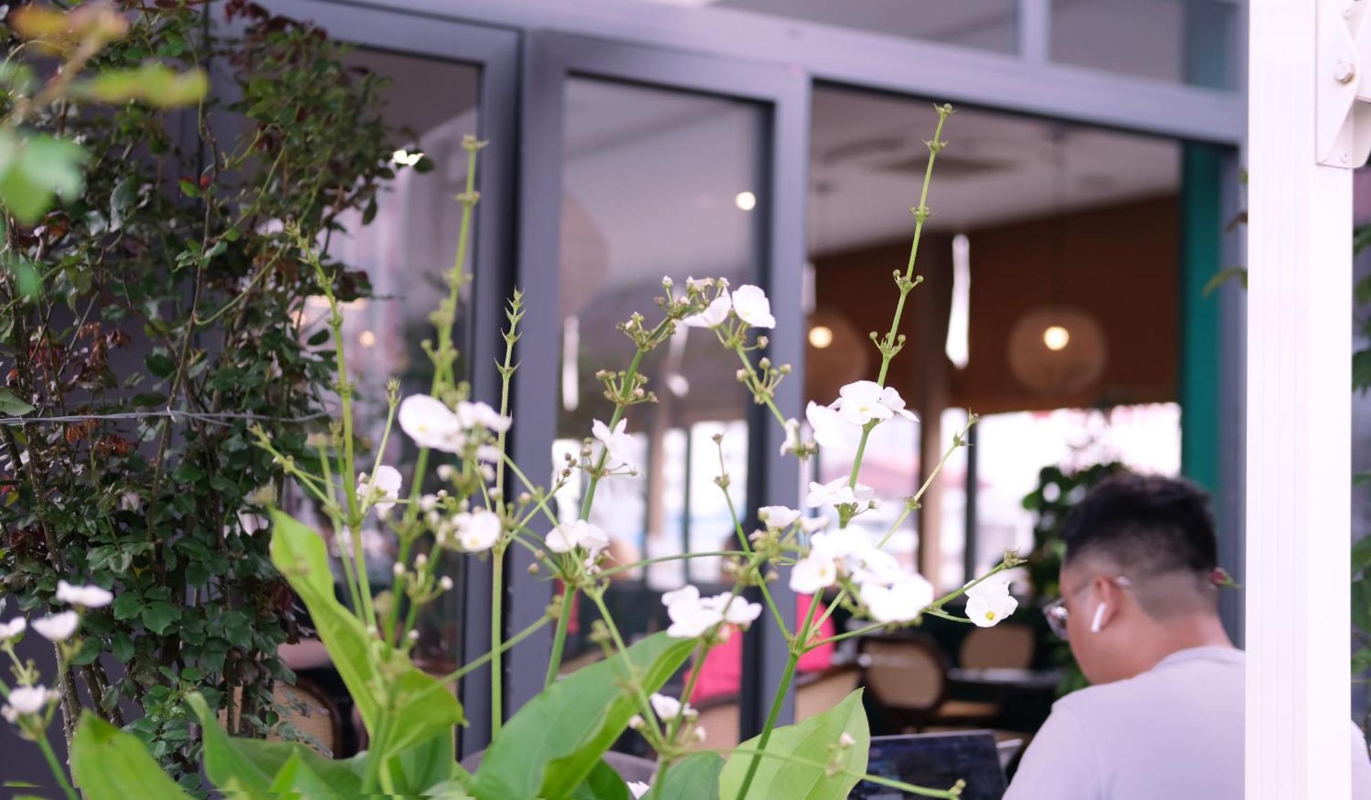 The Bloom Hanoi - Bespoke Living Luaran gambar
